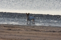 Mély sur la plage